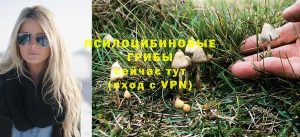 спайс Каменка