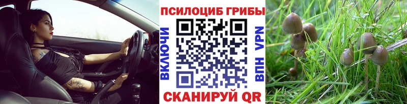 Псилоцибиновые грибы мицелий Зубцов