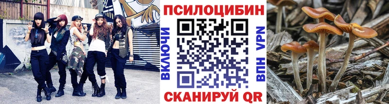 Галлюциногенные грибы MAGIC MUSHROOMS Зубцов